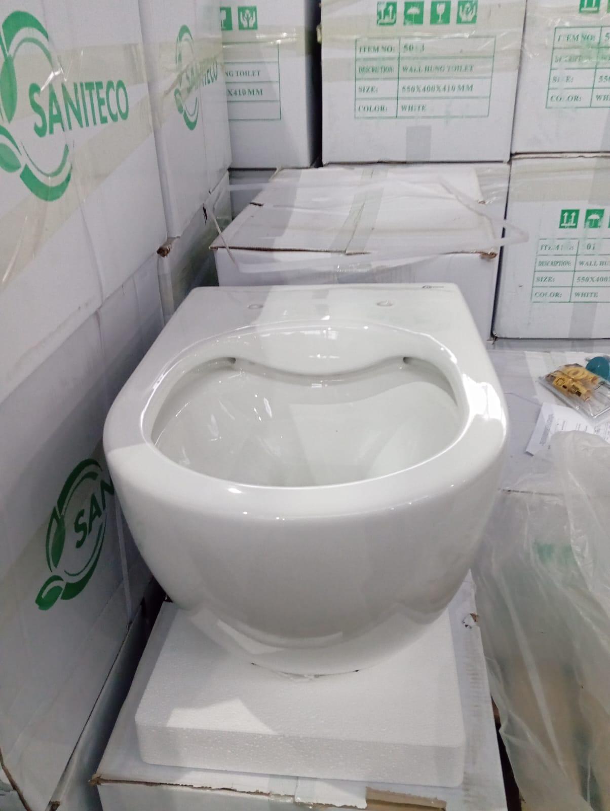 Унитаз подвесной SANITECO 5013, безободковый, 535x360x360
