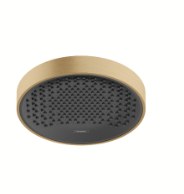 Верхний душ 250, бронза Hansgrohe Rainfinity 1jet 26229140